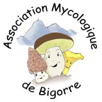 Logo AMB