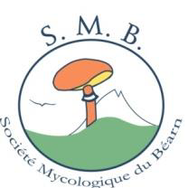 Logo SMB
