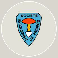 Logo SMF