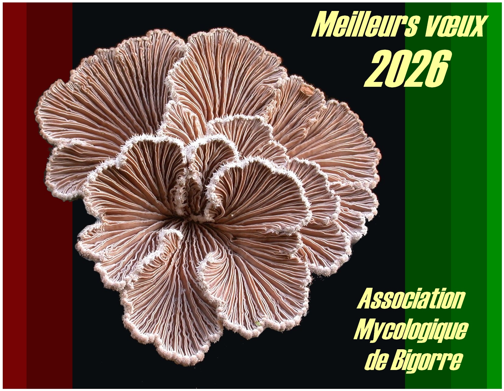 Voeux 2026 a