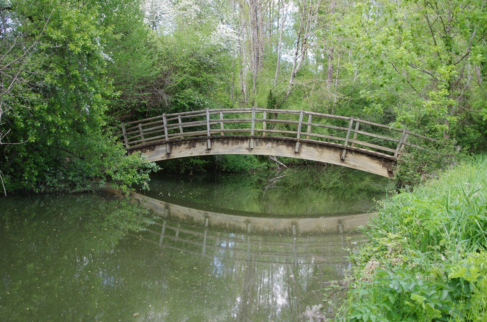 Passerelle sur la riviere Arret Darre 2024 04 20