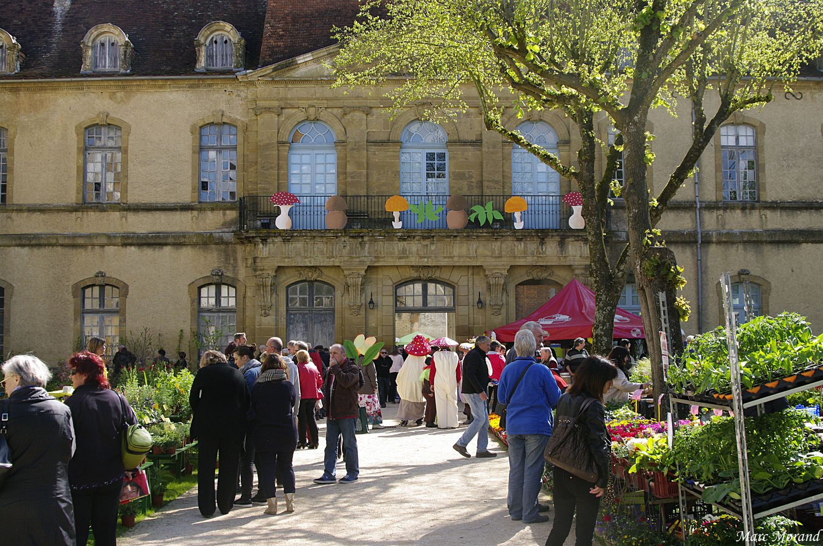 Abbaye St Sever de Rustan