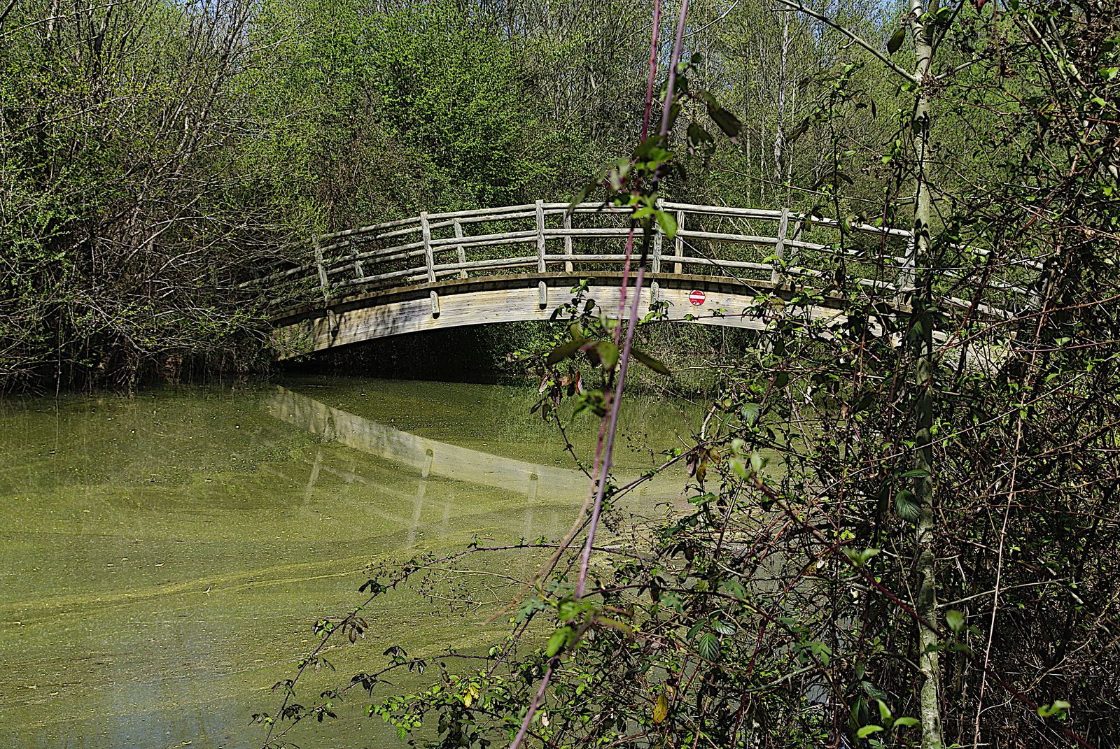 2011 12 13 Passerelle lac Arre Darre